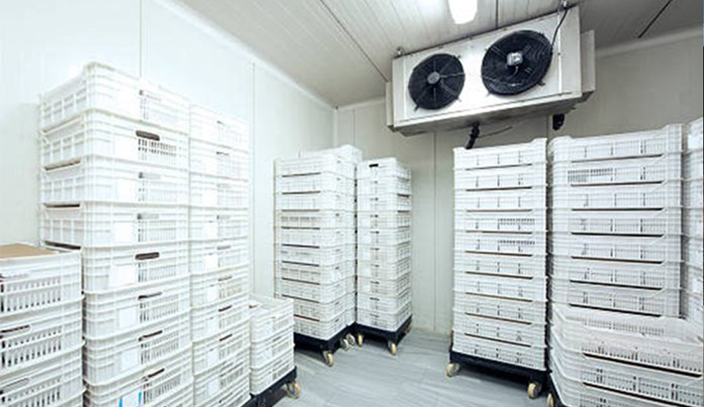 ����R�G���� 